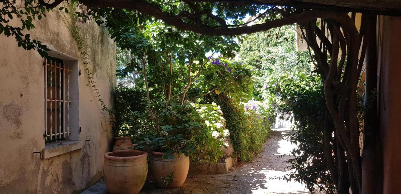 L'Odyssee Provencale, Un Duplex De Charme De 2 Chambres Au Pied Du Village Medieval De Bormes-Les-Mimosas, Offrant Des Prestations Haut De Gamme Et Une Superbe Vue Sur Le Massif Des Maures Extérieur photo